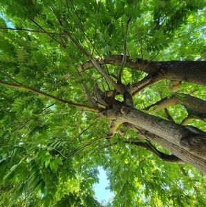 Meet your Posher, Craig